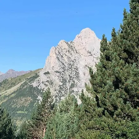 Apartment Mimosa 4 Con Terraza - Tucasaenlospirineos *